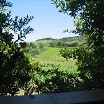 Piccolo Sole * Montescudaio