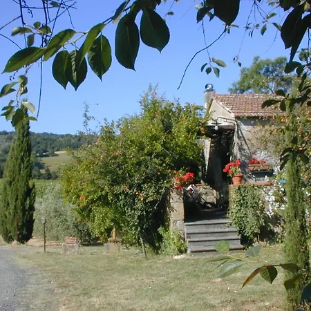 Piccolo Sole Montescudaio