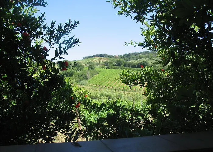 Piccolo Sole * Montescudaio